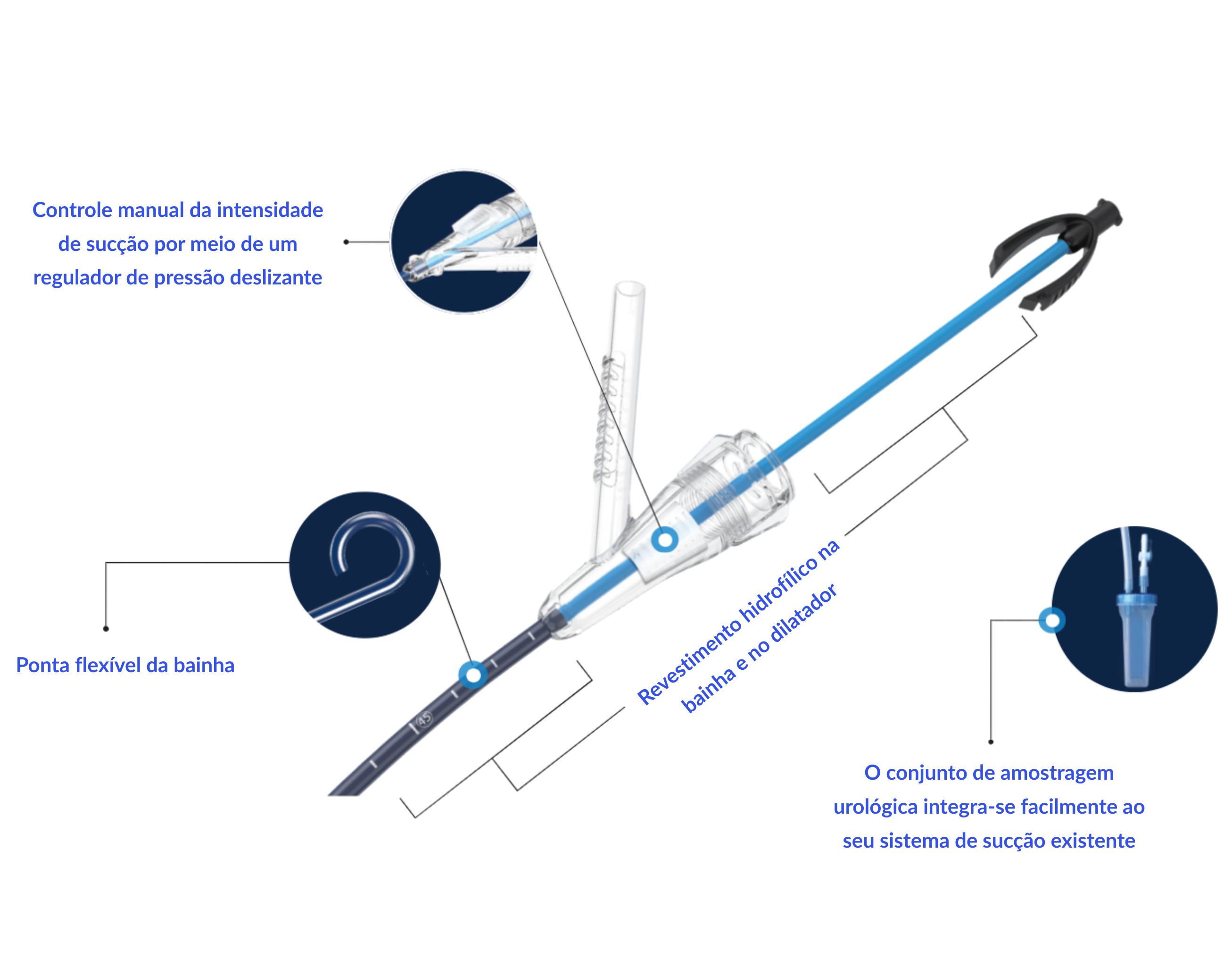 Descrição da imagem